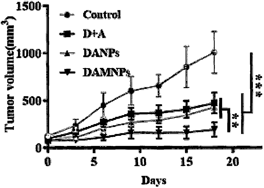 纳米粒子及其制备方法和应用